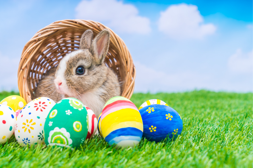 Image of a bunny sitting in a basket in front of colored eggs
